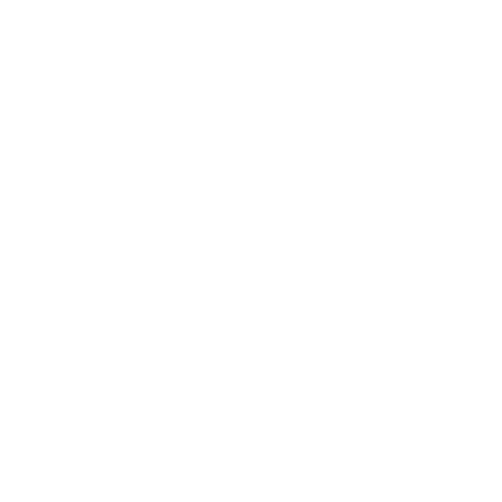 Web and Software Development