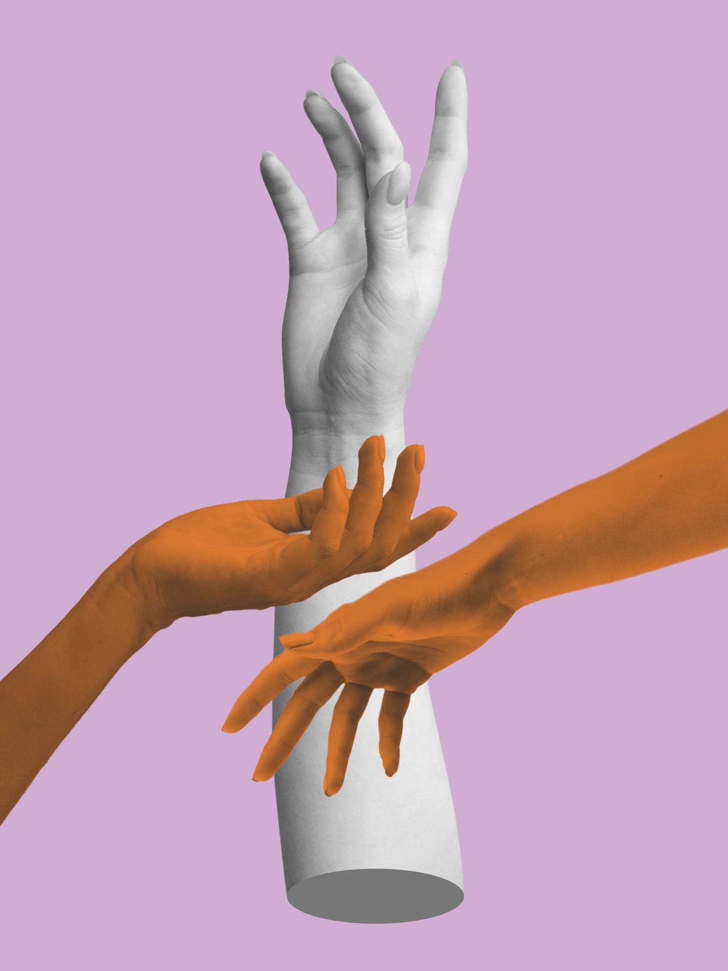 Website & Software Development